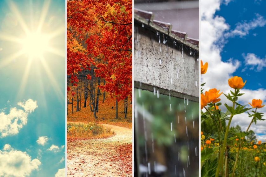 Pilihan Warna Baju yang Ngga Bikin Gerah dan Cocok untuk Cuaca Panas